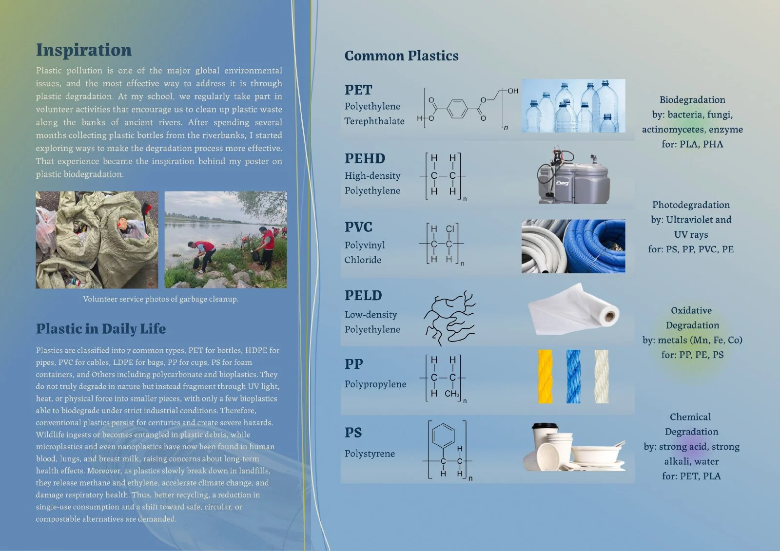 The Biowizards project portfolio — page 2